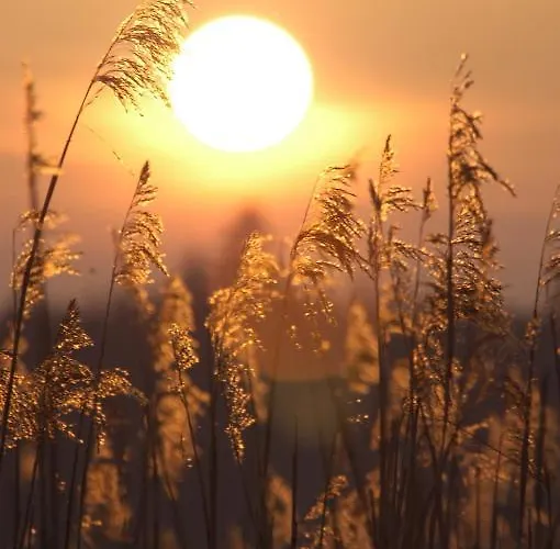 Szálloda Lough Allen & 3*